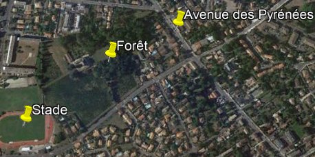 Carte.