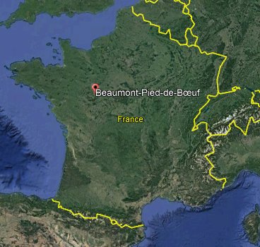 Carte.