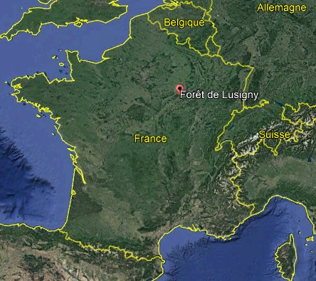 Carte.
