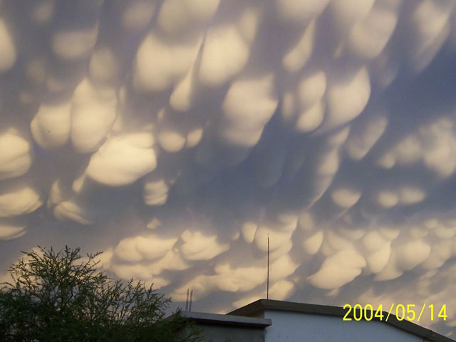 APOD
