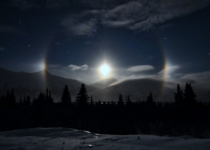 Moondog.