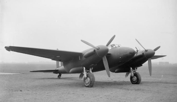 Mosquito.