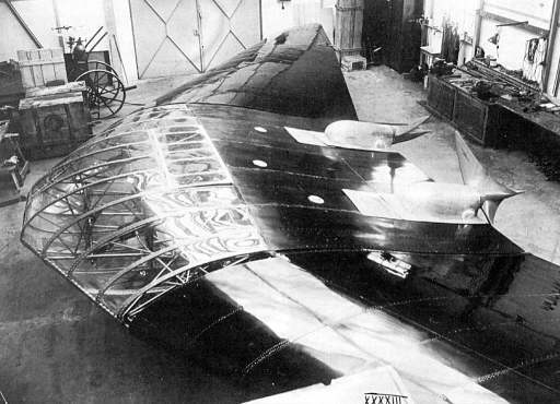 Horten Ho5.