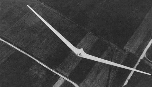Horten Ho6.