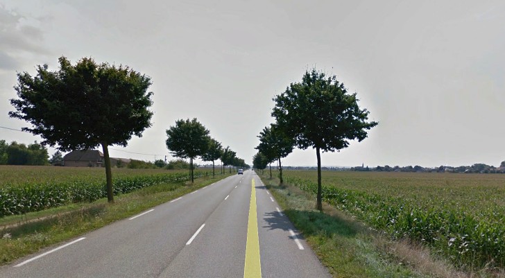 Photo.