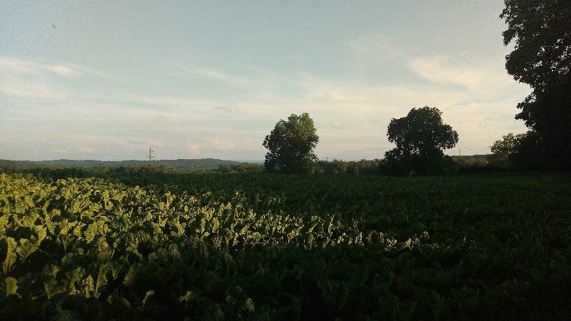 Photo.