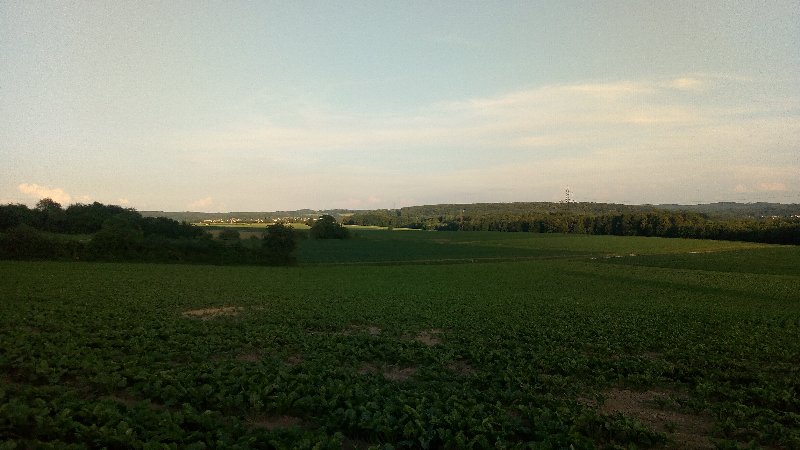 Photo.