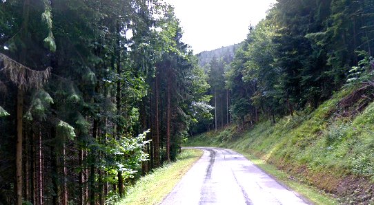 Photo.