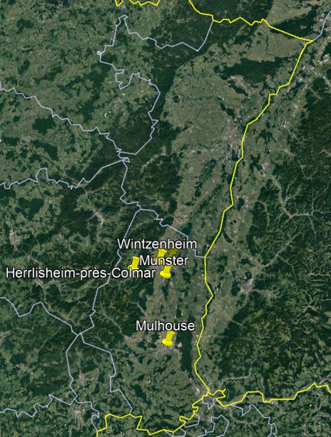 Carte.