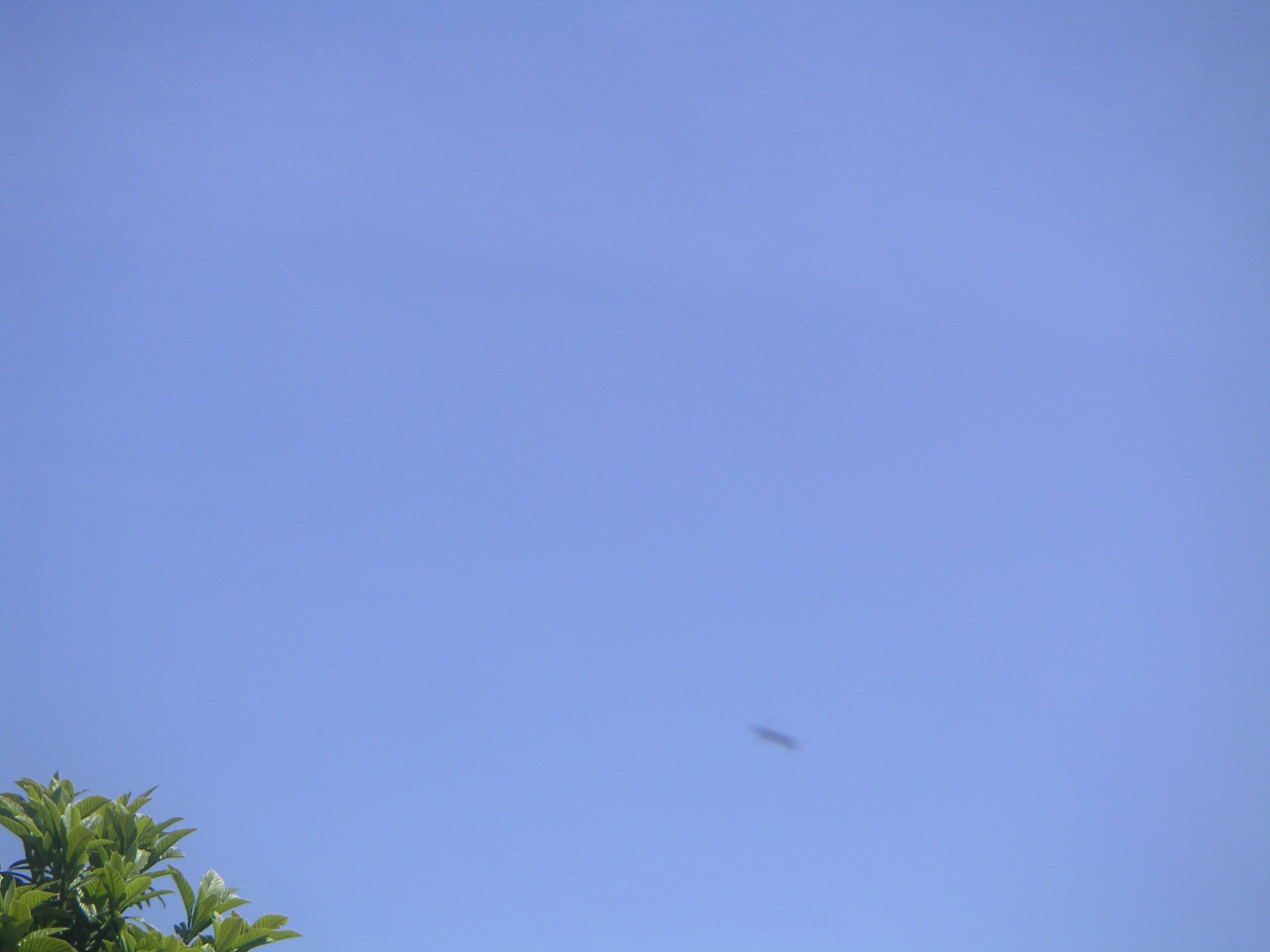 Photo.