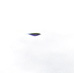 Scan.