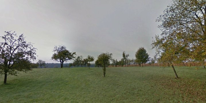 Image.