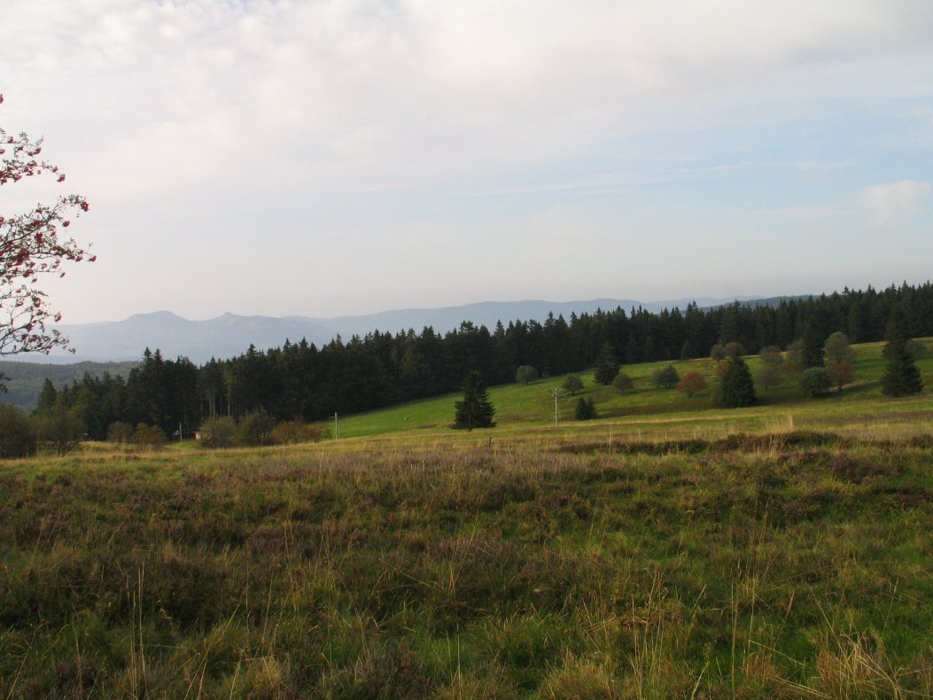 Photo 1.