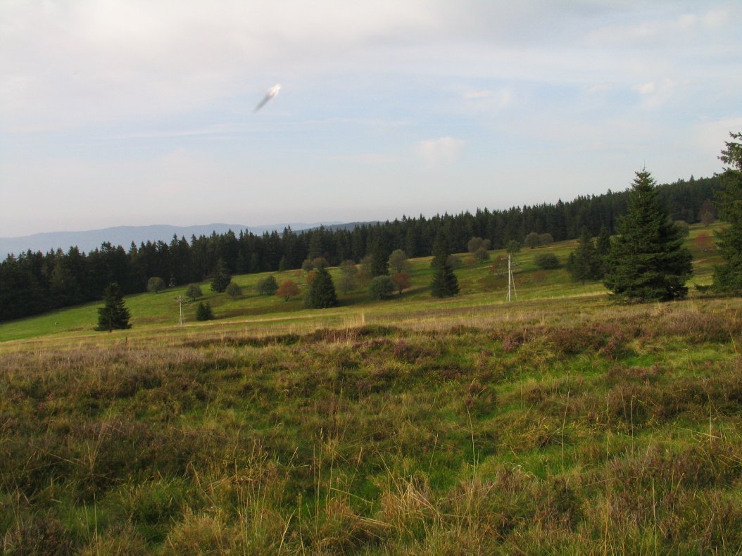 Photo 2.