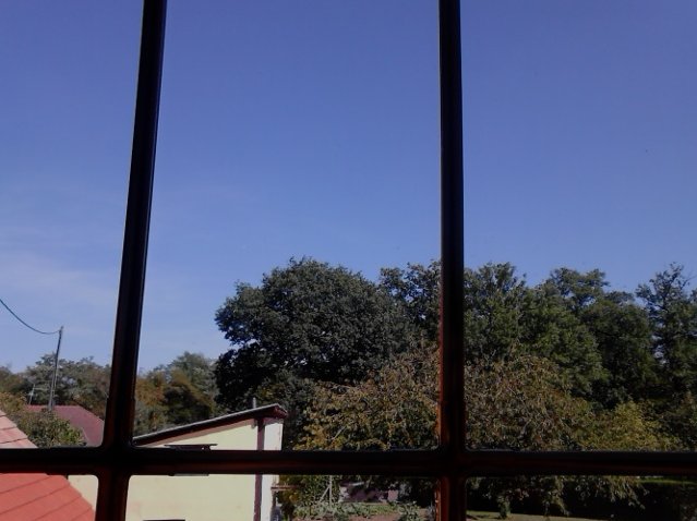 Photo.