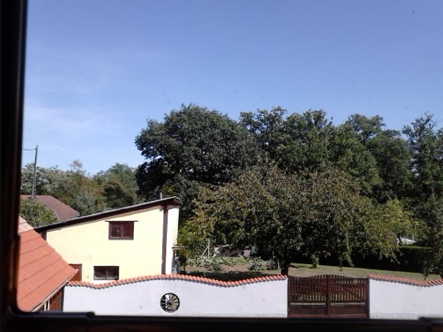 Photo.