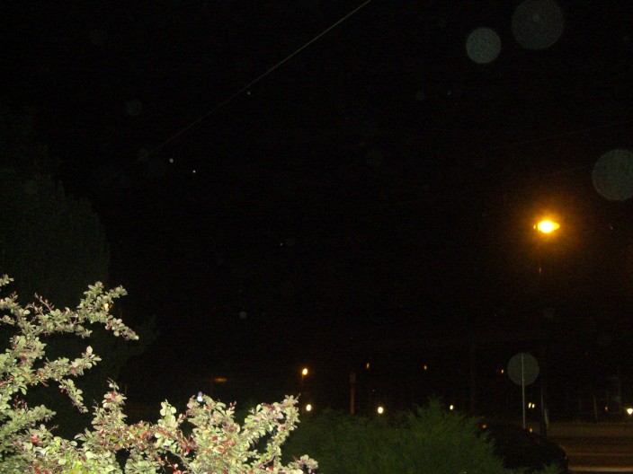 Orbs.