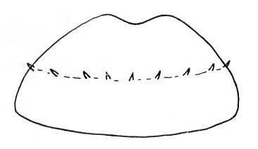 Fig. 