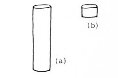 Fig. 