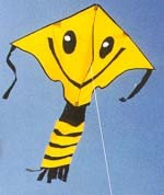 Kite