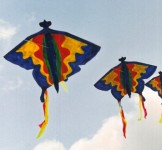 Kite