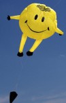 Kite