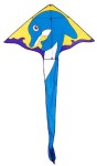 Kite