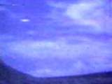 Image extraite de la vidéo
