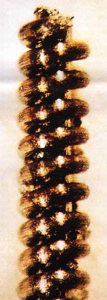 Fig.2