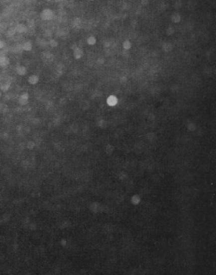 Blue Book UFO photograph
