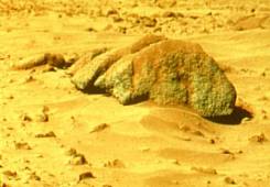 Mars