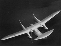 Air Couzinet 10