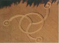 Crop circle