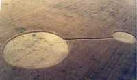 Crop circle