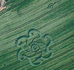 Crop Circle photograph.