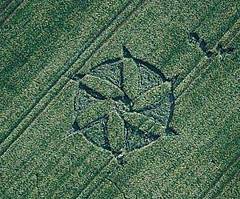 Crop Circle photograph.