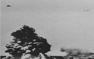 Deception ISland 1976