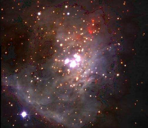Orion