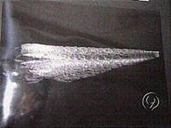Alleged UFO fragment