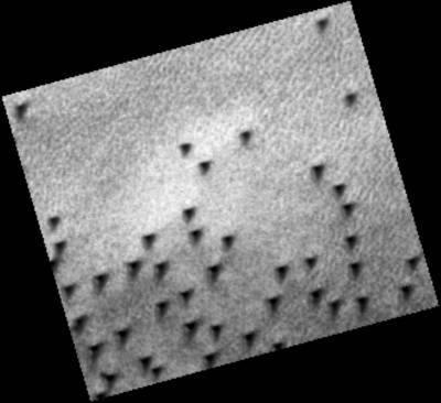 M01-02950