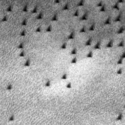M01-02950