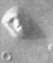 The Face
