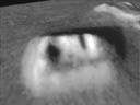 The Face