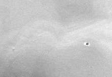 Ufo flying over Mars?