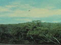 UFO picture