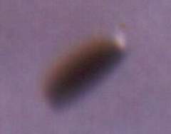 UFO picture