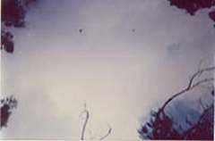 UFO picture
