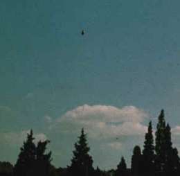 UFO picture.