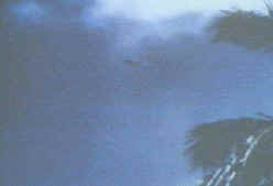 UFO picture