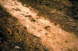Traces au sol, cas de Trans en Provence
